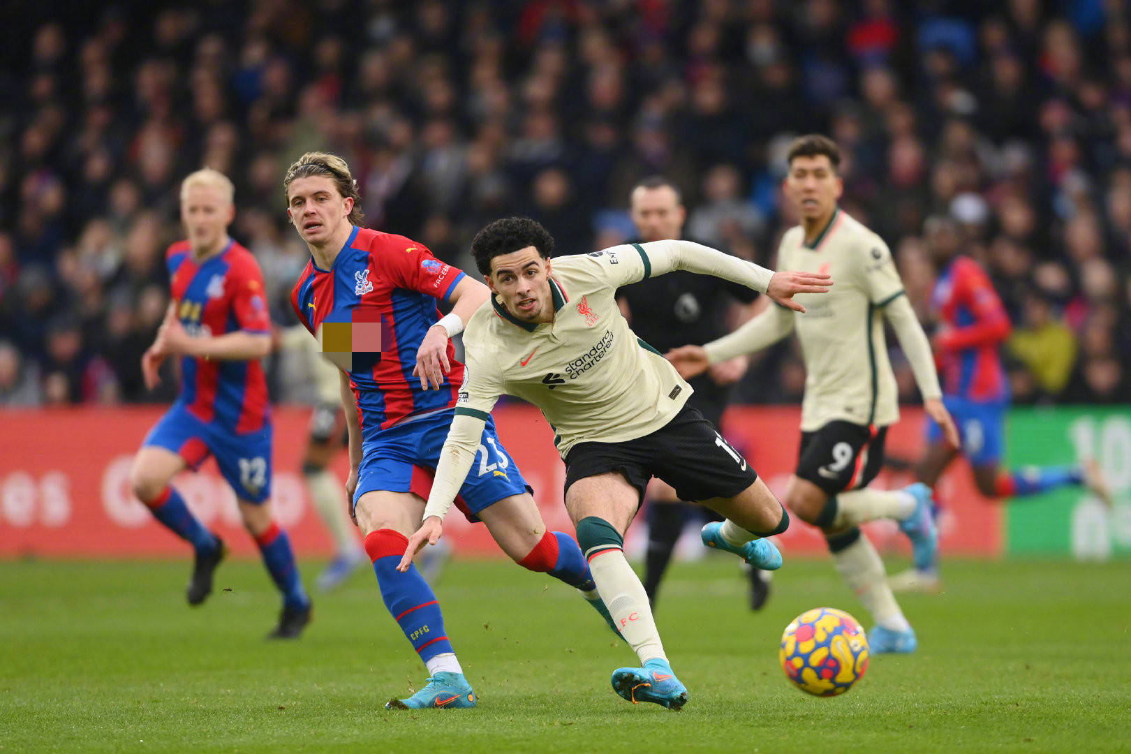 升起的新星 升起的新星